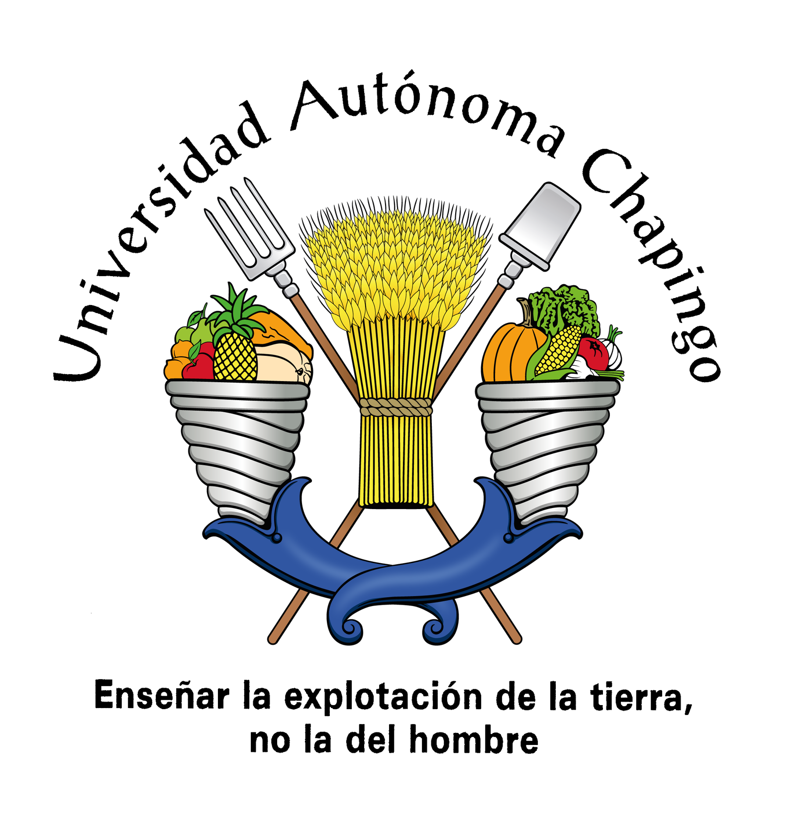 Logo_chapingo_sin_fondo