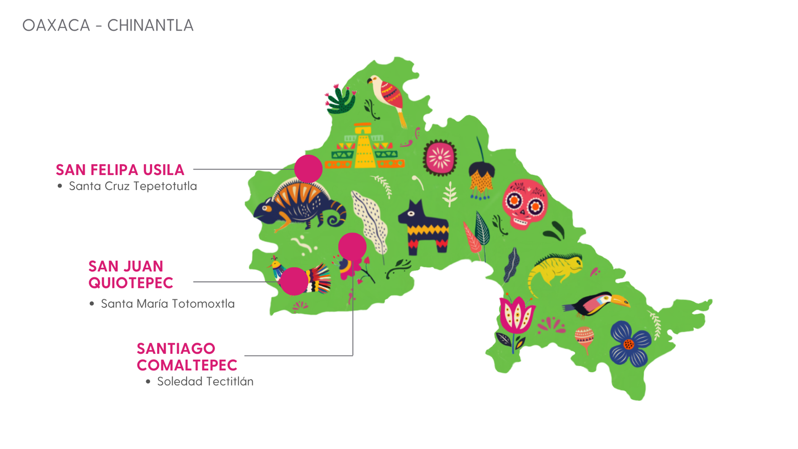 Mapa Oaxaca Chinantla